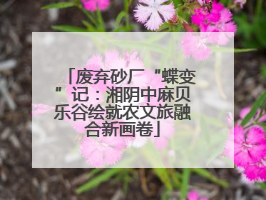 废弃砂厂“蝶变”记：湘阴中麻贝乐谷绘就农文旅融合新画卷